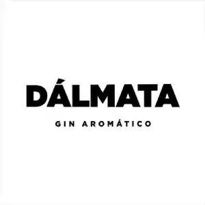 Dalmata